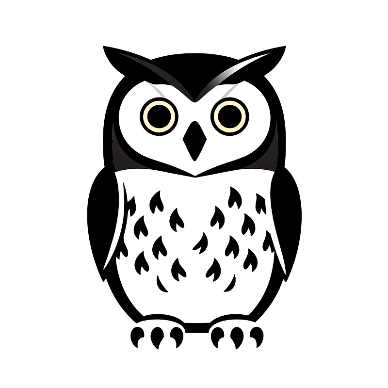 Owl Heat Transfer Vinyl HTV Ir - Iron On Patch ulasan dan harga